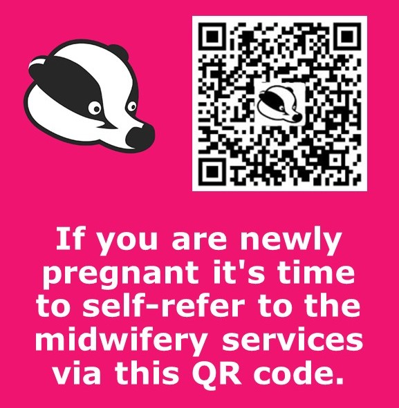 BadgerNotes BadgerNotes